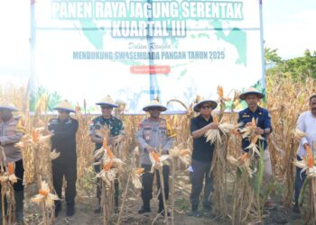 Kapolda Papua Pimpin Panen Raya Jagung Kuartal III, Wujudkan Dukungan Polri terhadap Swasembada Pangan