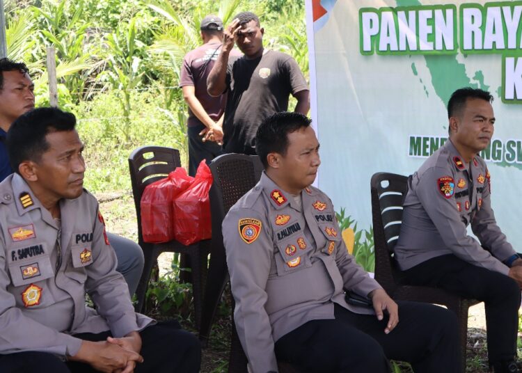 Panen Raya Jagung Kuartal III, Polres Sarmi Polda Papua Tegaskan Komitmen Dukung Petani
