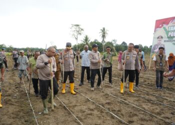 Polda Papua Barat Gelar Penanaman Jagung di Lahan Kelompok Tani Margo Mulyo