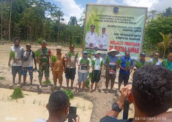 Kabag SDM Polres Sarmi Hadiri Penanaman Padi Bersama Bupati, Dorong Wirausaha Muda Kembangkan Pertanian