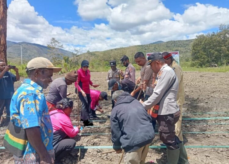 Penanaman Jagung Serentak Kuartal IV 2025, Polsek Asologaima Dukung Ketahanan Pangan Masyarakat