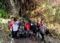 Polres Jayawijaya Amankan 11 Batang Pohon Ganja di Wamena