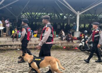 Unit Satwa K-9 Ditsamapta Polda Papua Gelar Patroli Di Wilayah Perbatasan RI–PNG