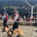 Unit Satwa K-9 Ditsamapta Polda Papua Gelar Patroli Di Wilayah Perbatasan RI–PNG