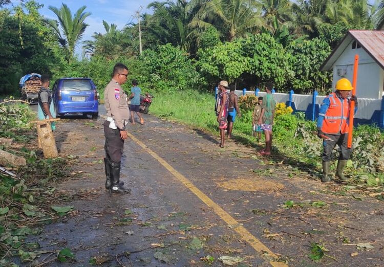 Peduli Keselamatan Pengguna Jalan, Sat Lantas Polres Sarmi Bersihkan Pohon Tumbang di Kampung Holmaven