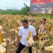 Polsek Pantai Timur Panen Jagung di Lahan Ketahanan Pangan Bersama Masyarakat