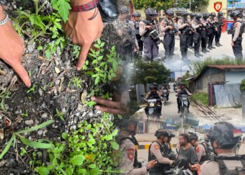 Patroli Polres Jayawijaya Amankan Warga Diduga Konsumsi Narkotika