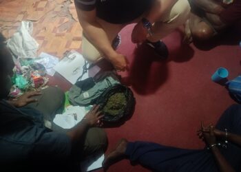 Sat Narkoba Polres Jayawijaya Amankan Terduga Pengedar Ganja demi Lindungi Generasi Muda