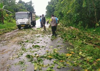 Polsek Bonggo dan Warga Gotong Royong Bersihkan Pohon Tumbang di Jalan Trans Jayapura–Sarmi