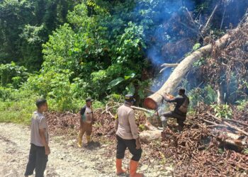 Kapolsek Tor Atas Bersama Personel dan Masyarakat Bersihkan Jalan Akibat Pohon Tumbang