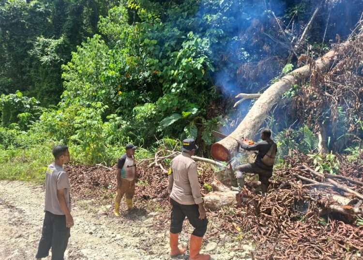 Kapolsek Tor Atas Bersama Personel dan Masyarakat Bersihkan Jalan Akibat Pohon Tumbang