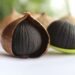 Black Garlic, Solusi Sangat Penting bagi Kesehatan