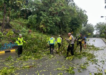 Satgas Kamseltibcarlantas Operasi Lilin Cartenz 2025 Cepat Tanggap Atasi Pohon Tumbang di Jayapura