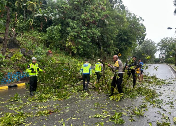 Satgas Kamseltibcarlantas Operasi Lilin Cartenz 2025 Cepat Tanggap Atasi Pohon Tumbang di Jayapura