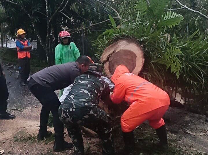 Bantu Tangani Pohon Tumbang Yang Menutupi Akses Jalan Utama, Koramil 1310-04/Dimembe Gerak Cepat