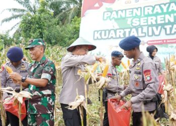 Dukung Ketahanan Pangan Nasional, Polda Papua Barat Gelar Panen Raya Jagung Serentak Kuartal IV Tahun 2025