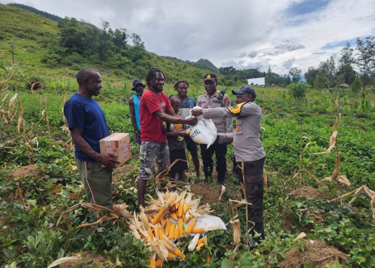Polsek Kurulu Laksanakan Panen Jagung Program Ketahanan Pangan Kuartal III