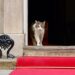 Kembali ke Downing Street, Presiden Prabowo “Disambut” Larry the Cat