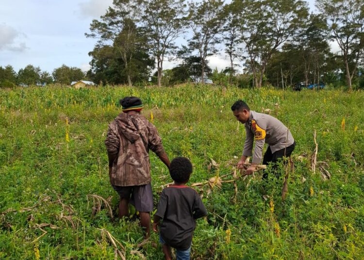 Polsek Kawasan Bandara Laksanakan Pengecekan Lahan Jagung Program Ketahanan Pangan