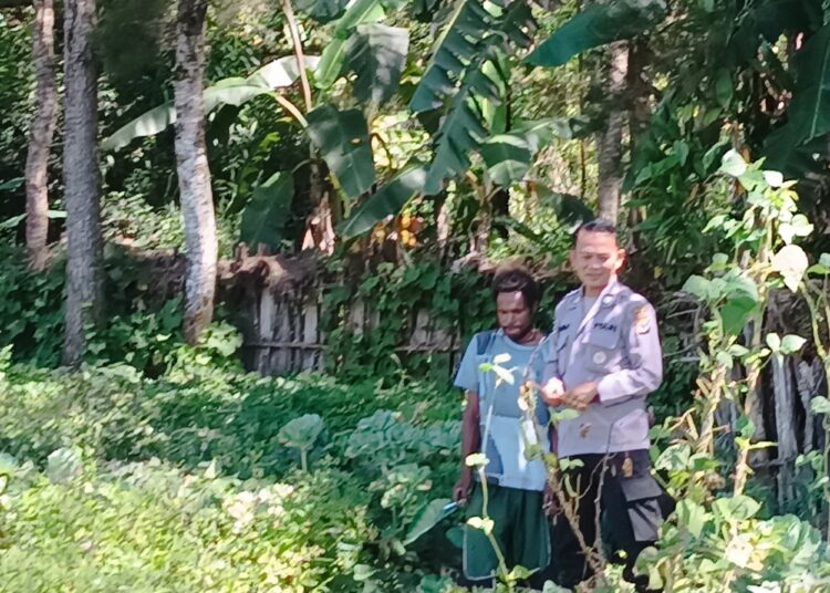 Sat Binmas Polres Jayawijaya Laksanakan Penanaman dan Pengecekan Jagung Ketahanan Pangan di Kampung Elagaima