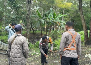 Polres Jayawijaya Cek Lahan Jagung Program Ketahanan Pangan di Wamena