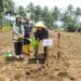 Dukung Program Hilirisasi Perkebunan, Dandim 1310/Bitung Ikut Tanam Kelapa