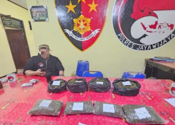 Polres Jayawijaya Amankan Ganja, Gagalkan Peredaran Narkotika Menuju Wamena