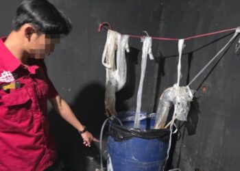 Sat Resnarkoba Polres Jayawijaya, Ungkap Lokasi Produksi Miras Lokal di Wamena