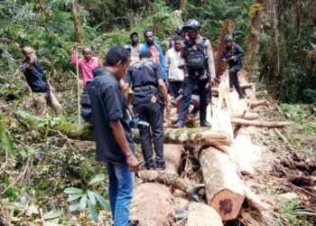 Respon Cepat, Polres Jayawijaya Olah TKP Kecelakaan Kerja di Distrik Wame Wamena