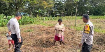 Polsek Kawasan Bandara Wamena Cek Lahan Jagung, Dukung Program Ketahanan Pangan