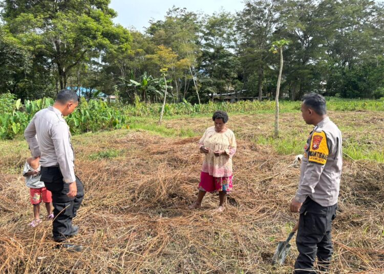 Polsek Kawasan Bandara Wamena Cek Lahan Jagung, Dukung Program Ketahanan Pangan