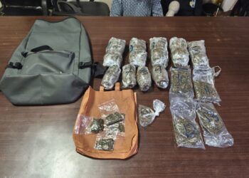 Polda Papua Barat Ungkap Kasus Peredaran Narkotika Jenis Ganja, Tiga Orang Diamankan