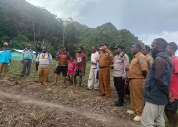 Peninjauan Lahan Jagung Oleh Kepala Dinas Pertanian Kab. Jayawijaya