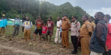 Peninjauan Lahan Jagung Oleh Kepala Dinas Pertanian Kab. Jayawijaya