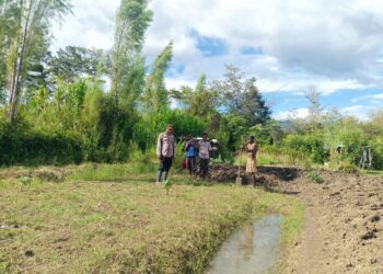 Polsek Wamena Kota Tangani Penemuan Mayat di Jalan Lingkar Lukmen Aikima