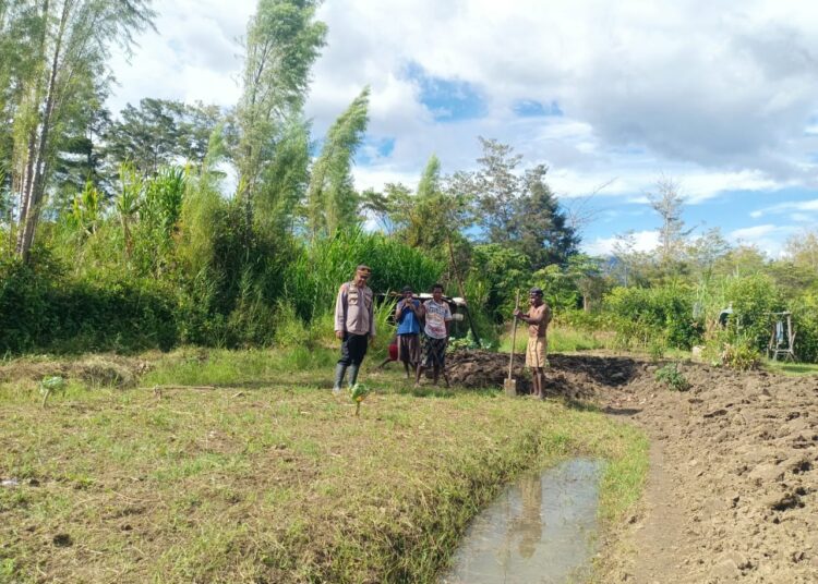 Polsek Wamena Kota Tangani Penemuan Mayat di Jalan Lingkar Lukmen Aikima