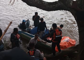 Hari Ke-8 Pencarian Korban Jembatan Gantung Wouma, Tim Gabungan Berhasil Temukan Empat Jenazah