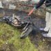 Gubernur Papua Pegunungan Kunjungi Pengungsi di Mako Polres Jayawijaya
