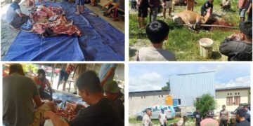 Pelaksanaan Sholat Idul Adha Dan Pemotongan Hewan Kurban di Lingkungan Polres Jayawijaya