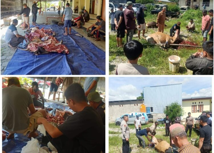 Pelaksanaan Sholat Idul Adha Dan Pemotongan Hewan Kurban di Lingkungan Polres Jayawijaya
