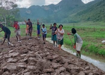 Kapolsek Kurulu Pantau Perkembangan Lahan Jagung Dukung Swasembada Pangan 2026