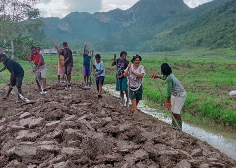 Kapolsek Kurulu Pantau Perkembangan Lahan Jagung Dukung Swasembada Pangan 2026