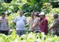 Wakapolda Papua Barat dan Kepala BRMP Optimalkan Pengembangan Benih Jagung untuk Ketahanan Pangan Papua Barat