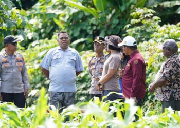 Wakapolda Papua Barat dan Kepala BRMP Optimalkan Pengembangan Benih Jagung untuk Ketahanan Pangan Papua Barat