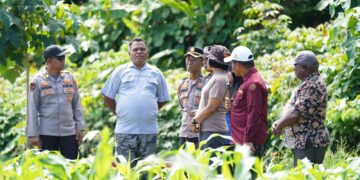 Wakapolda Papua Barat dan Kepala BRMP Optimalkan Pengembangan Benih Jagung untuk Ketahanan Pangan Papua Barat