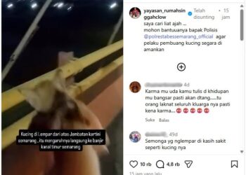 Polrestabes Semarang Dalami Kasus Video Viral Pembuangan Kucing di Jembatan Kartini