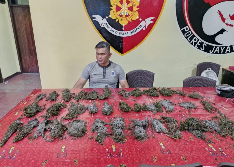 Satresnarkoba Polres Jayawijaya Temukan Lebih Dari 1 Kilogram Ganja di Pasar Wouma