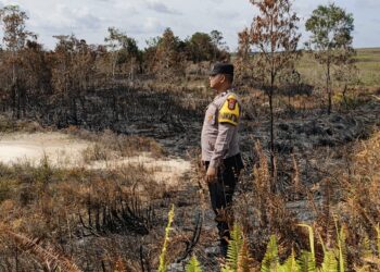 Kebakaran Hutan dan Lahan Terjadi di Distrik Tomage, Polsek Bomberay Lakukan Penanganan Cepat