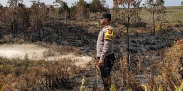 Kebakaran Hutan dan Lahan Terjadi di Distrik Tomage, Polsek Bomberay Lakukan Penanganan Cepat