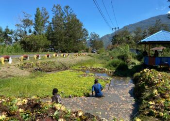 Polsek Kurulu Bangun Kebersamaan Melalui Bakti Sosial Bersama Tokoh Pemuda dan Masyarakat Kampung Jiwika